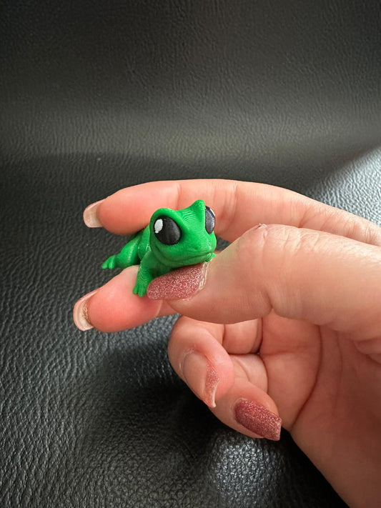 Lizard hatchling