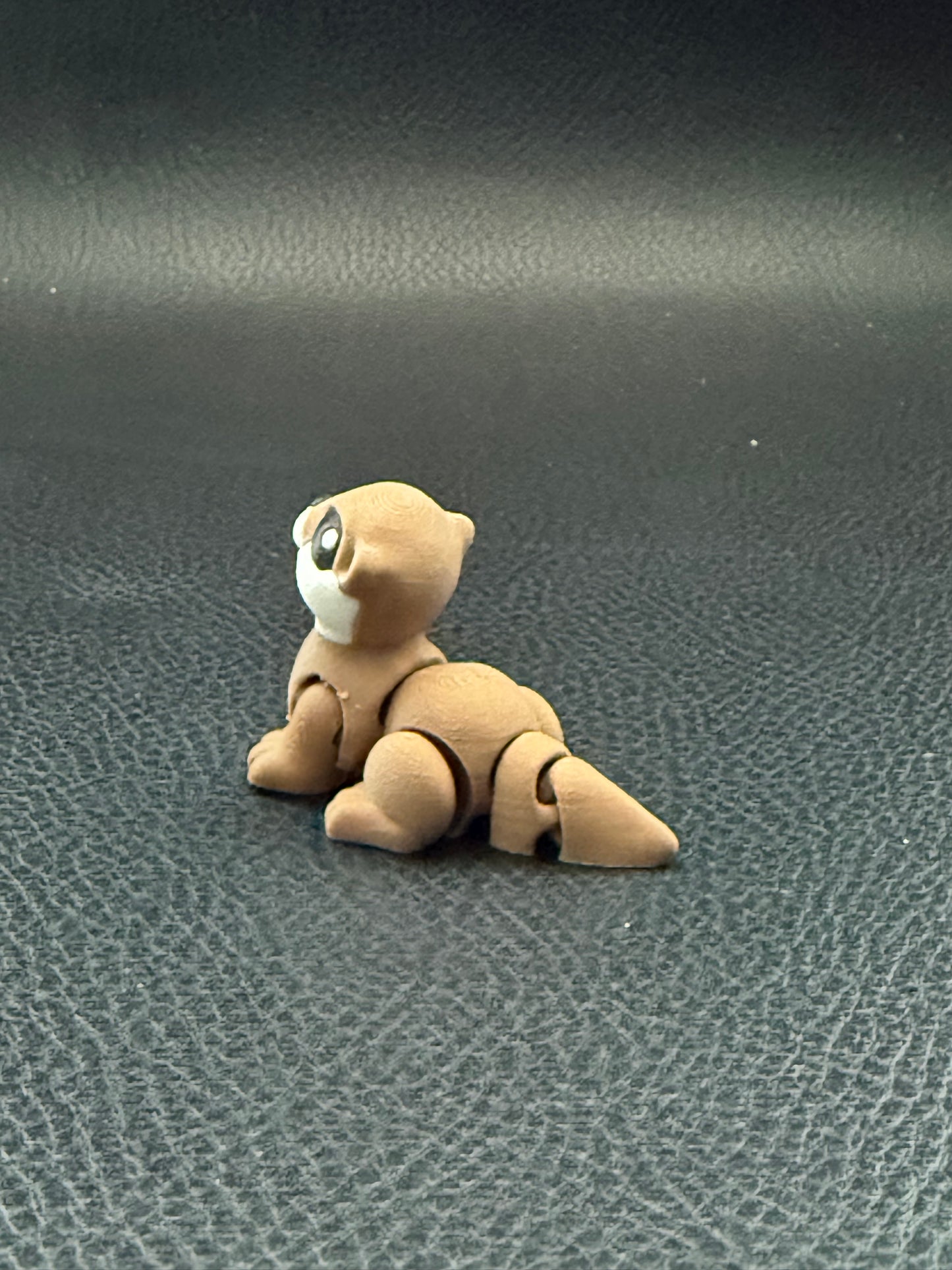 Otter hatchling