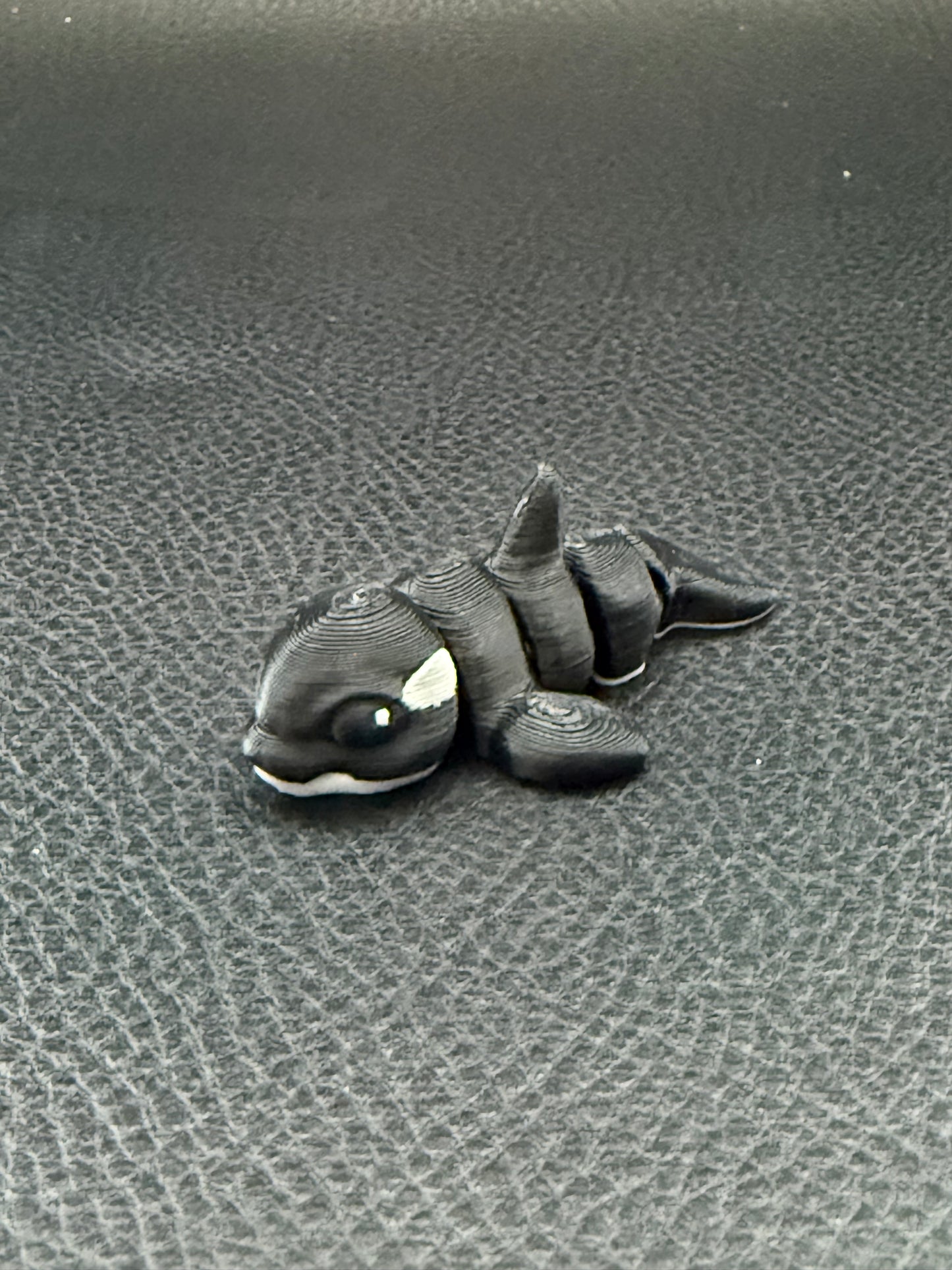 Orca hatchling