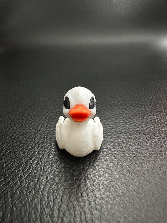 Duck hatchling