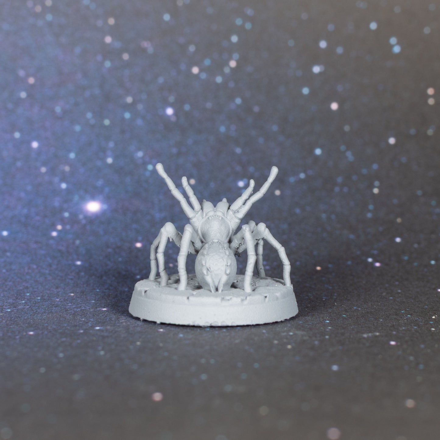 Huntsman Spider