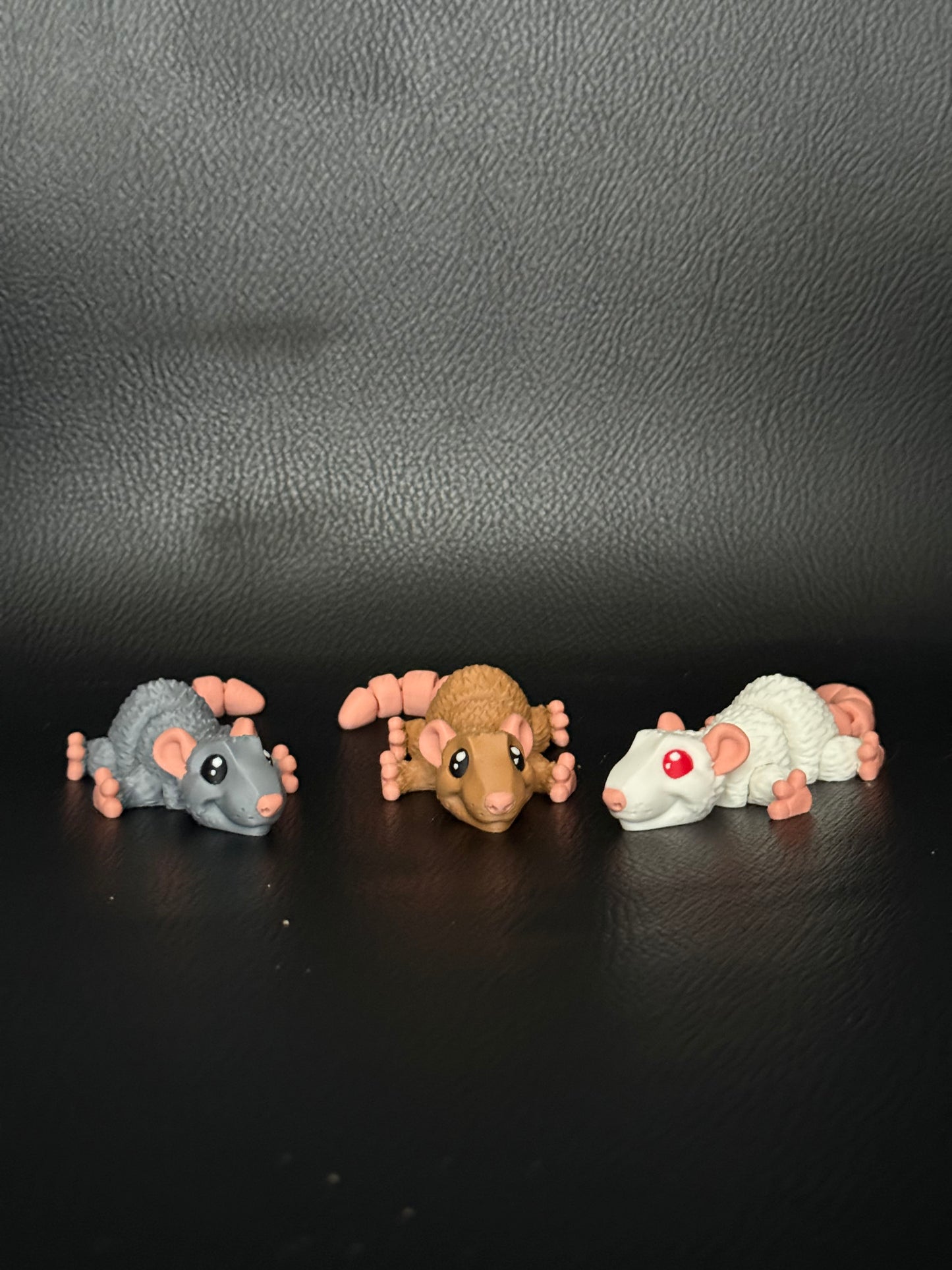 Rat