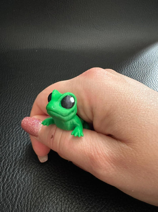 Lizard hatchling