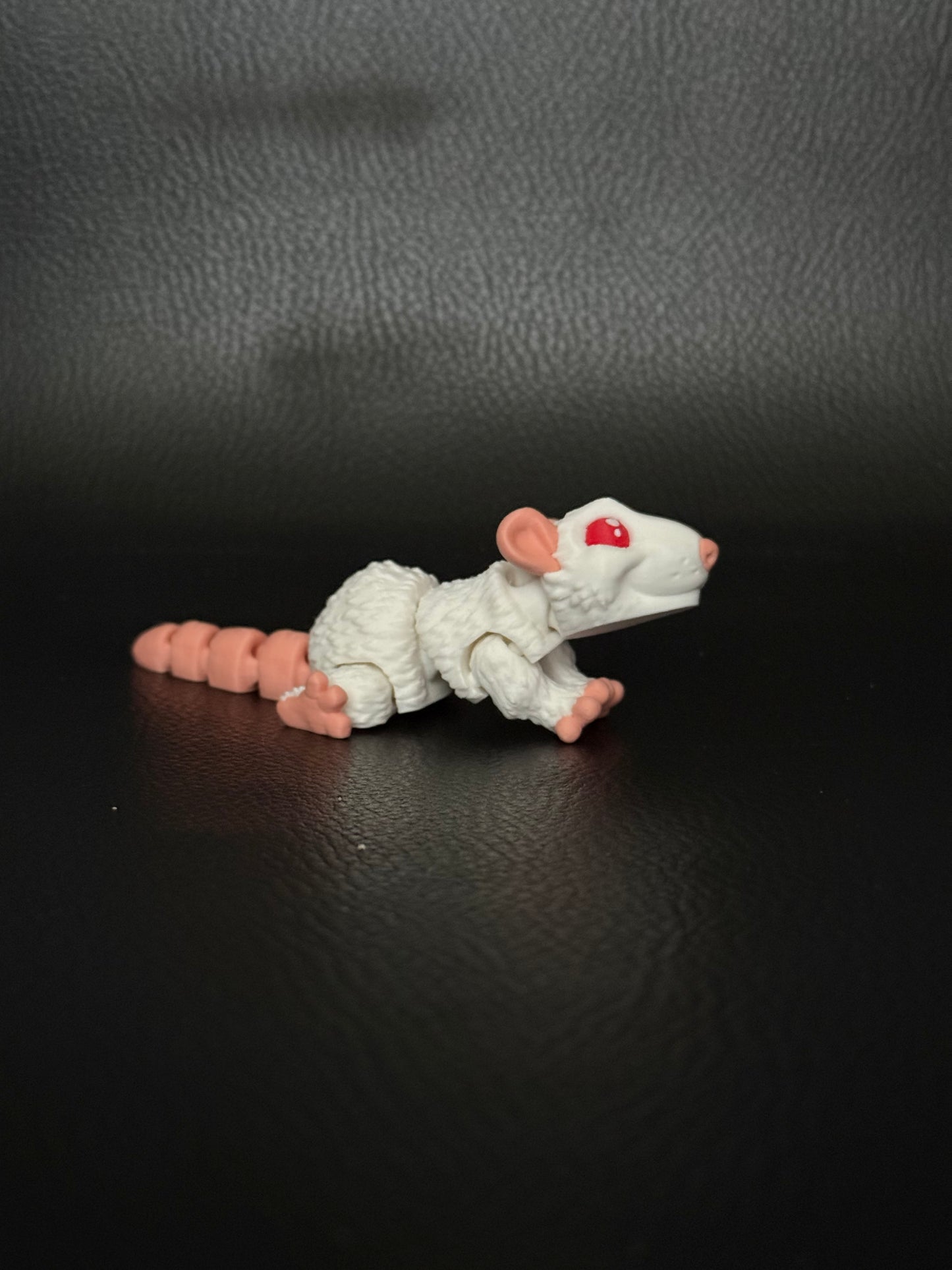 Rat