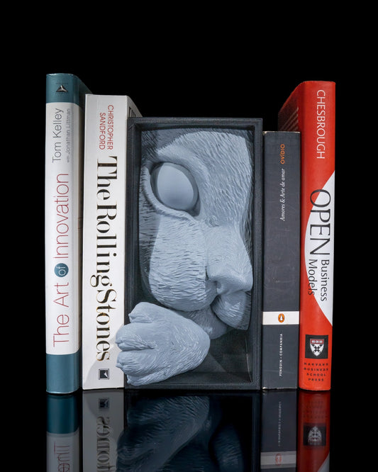 Cat's Curiosity Book Nook