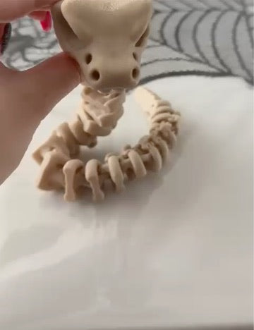 Baby Skeleton Rattlesnake