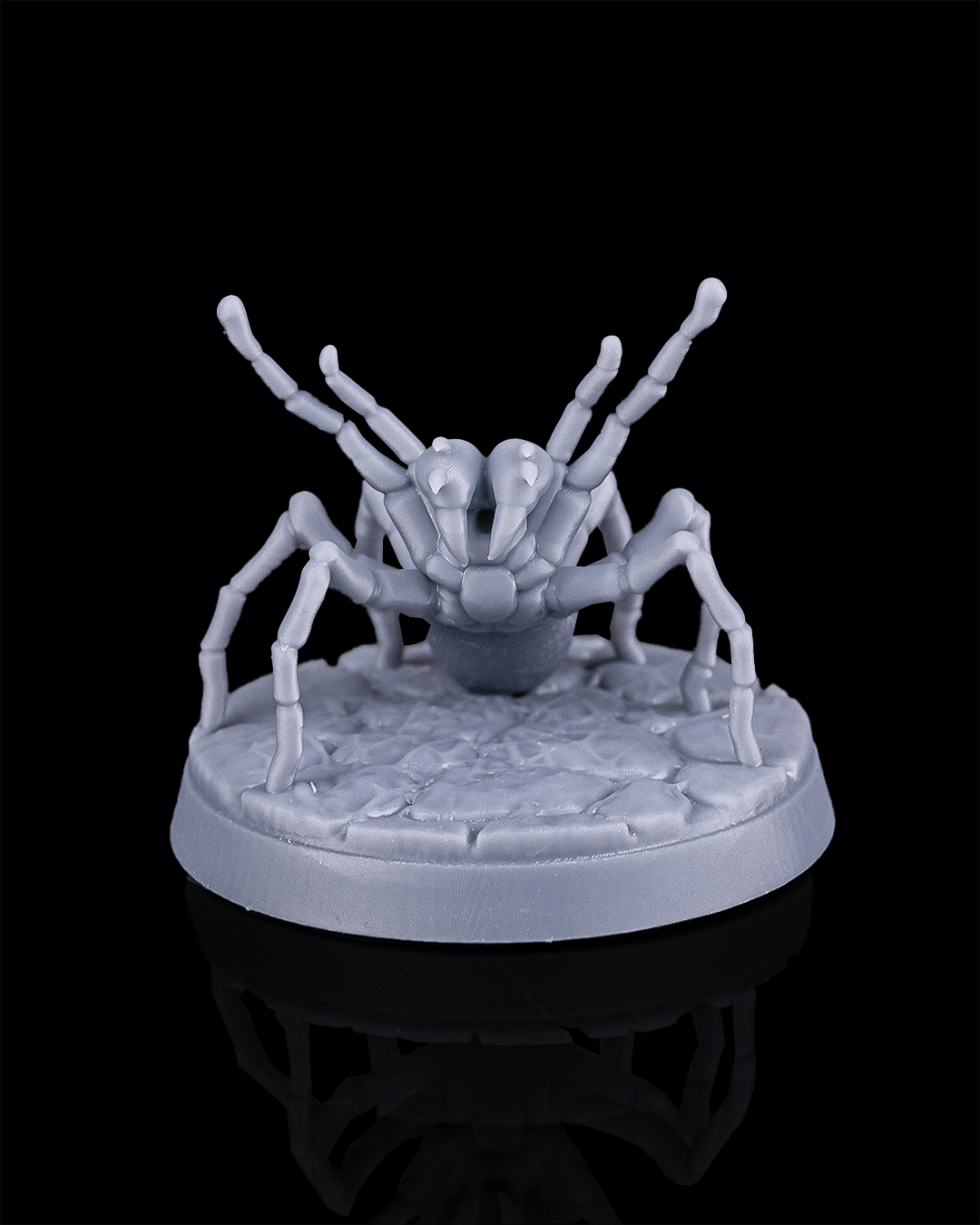 Hunstman Spider