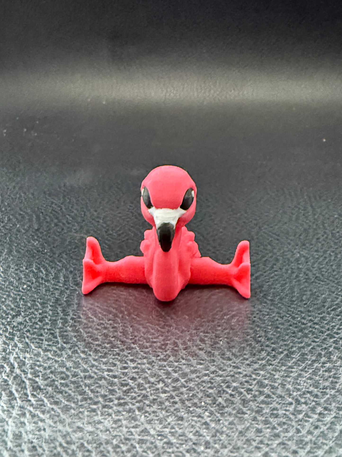 Flamingo hatchling