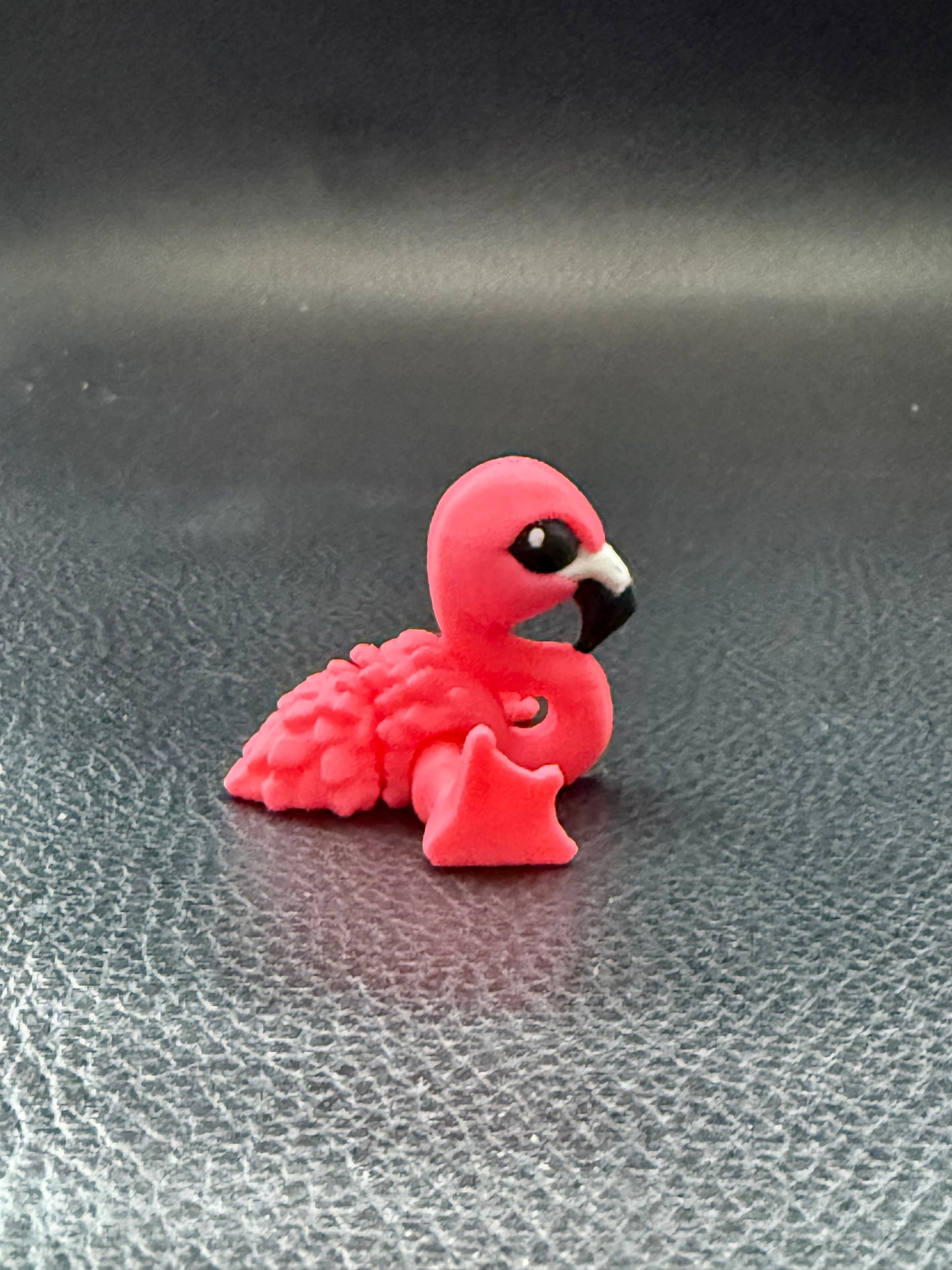 Flamingo hatchling