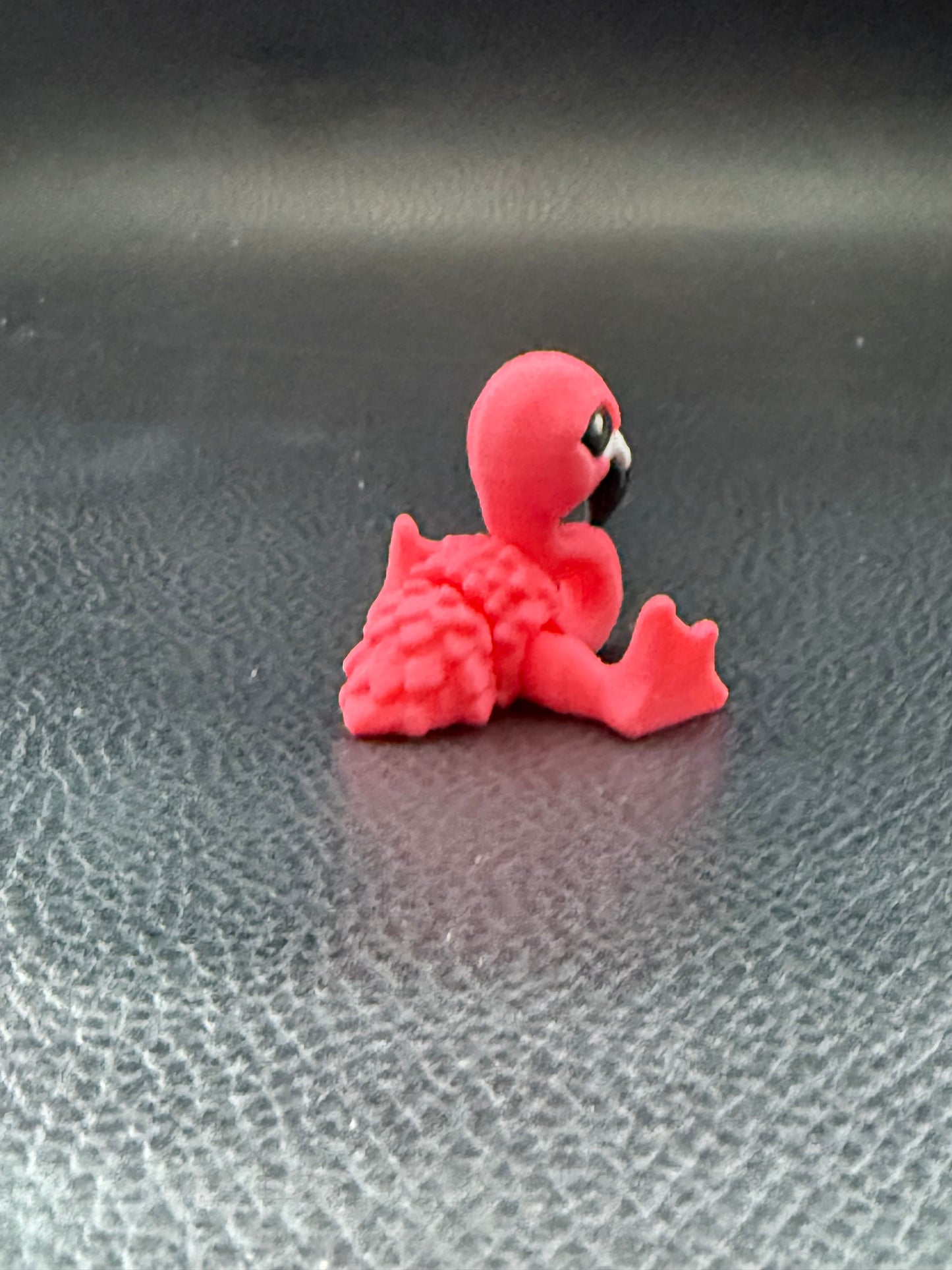 Flamingo hatchling
