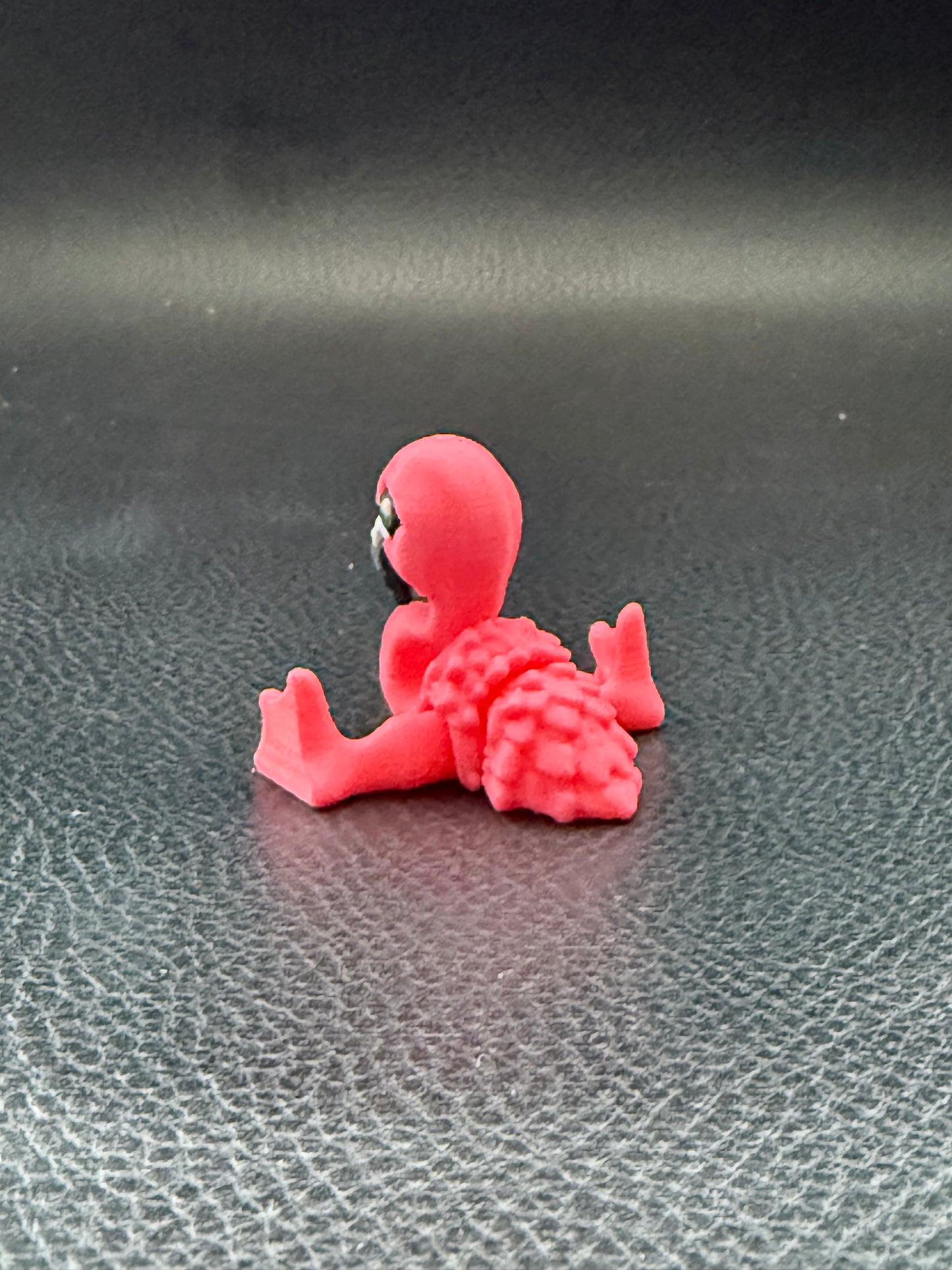 Flamingo hatchling