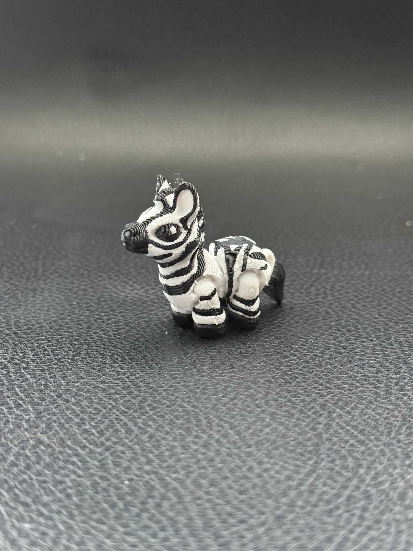 Zebra hatchling