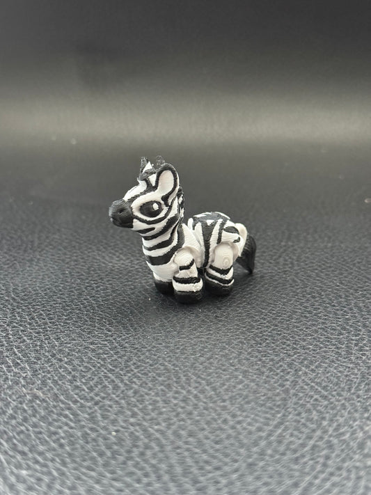 Zebra hatchling