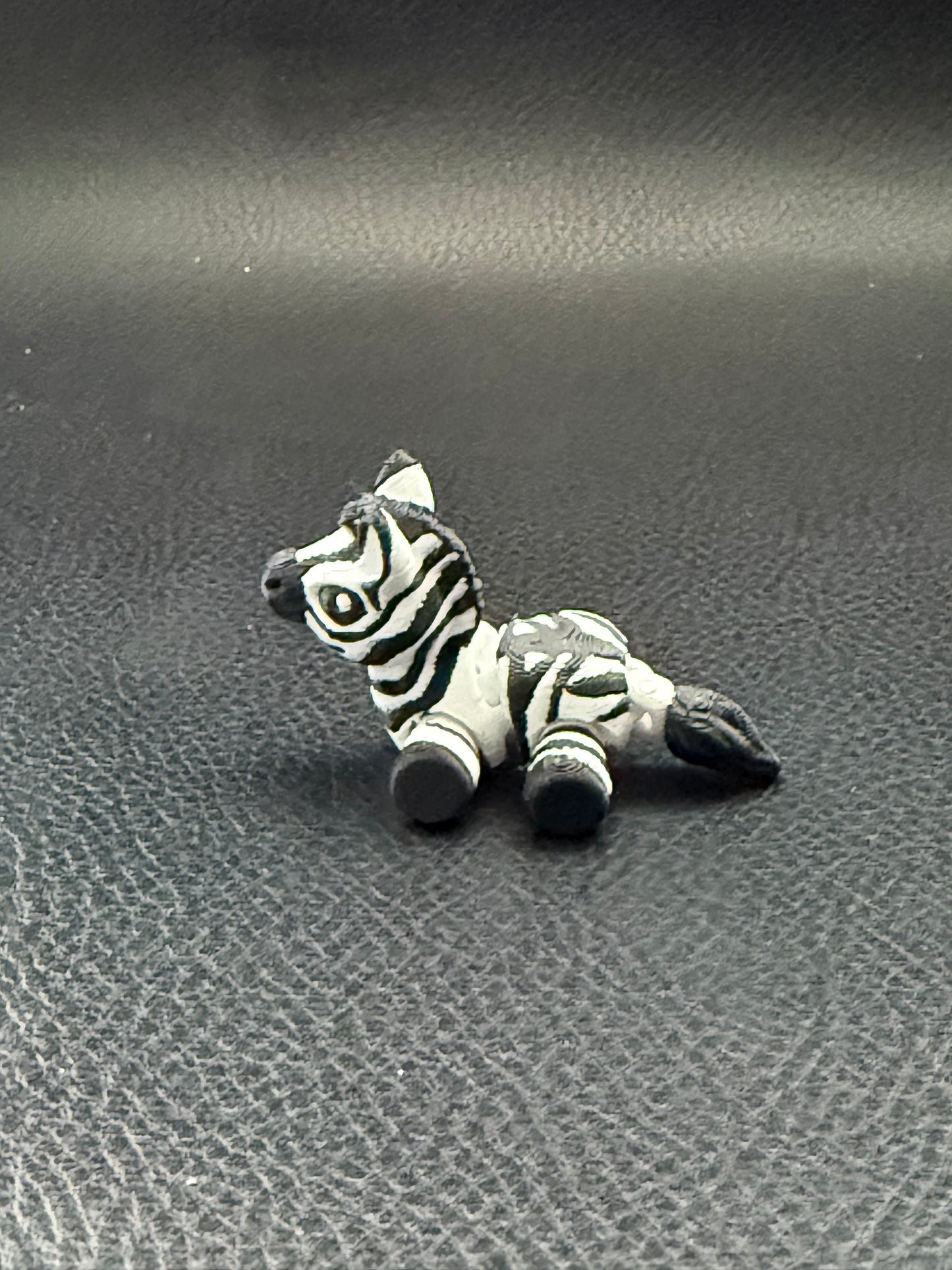 Zebra hatchling