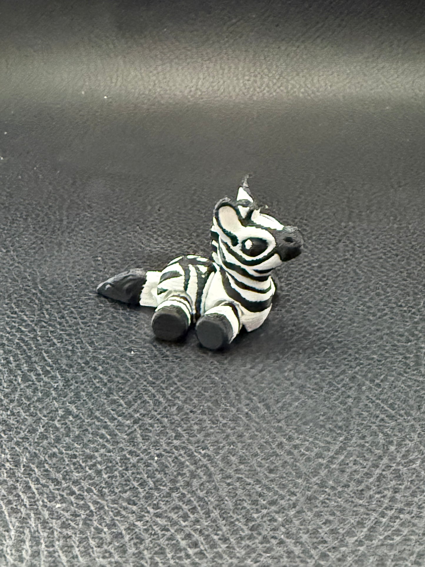 Zebra hatchling