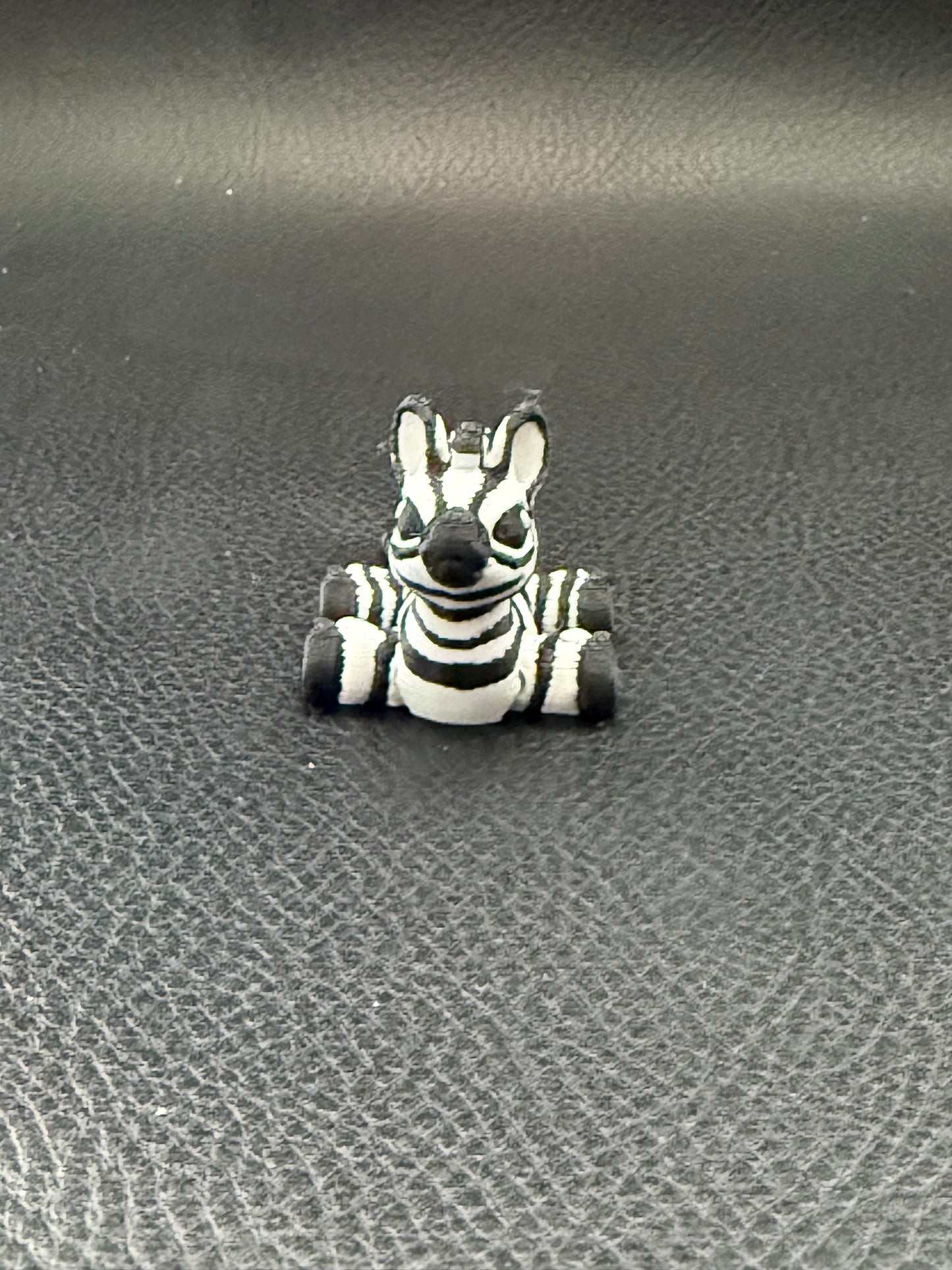 Zebra hatchling