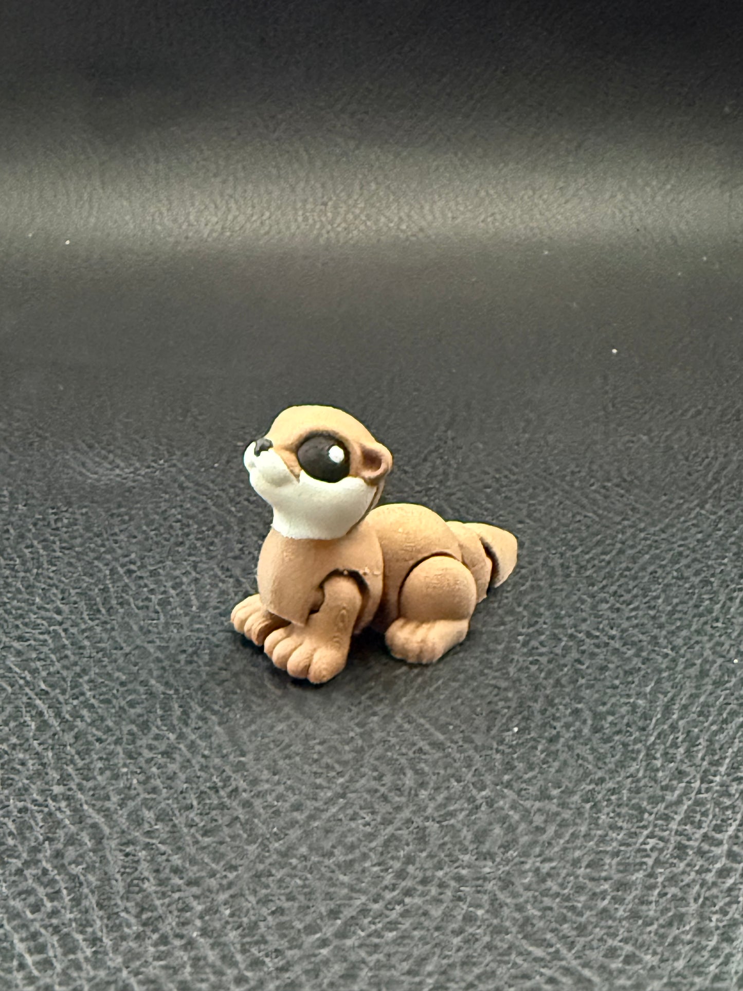 Otter hatchling