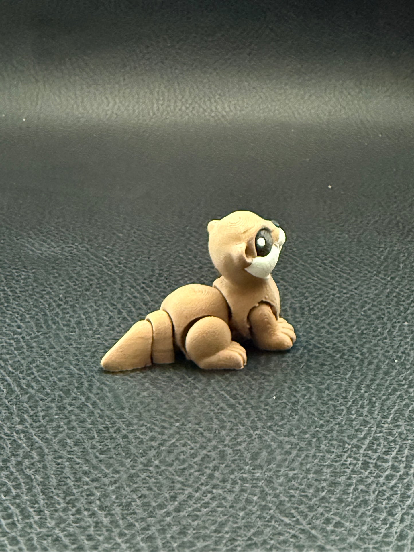 Otter hatchling