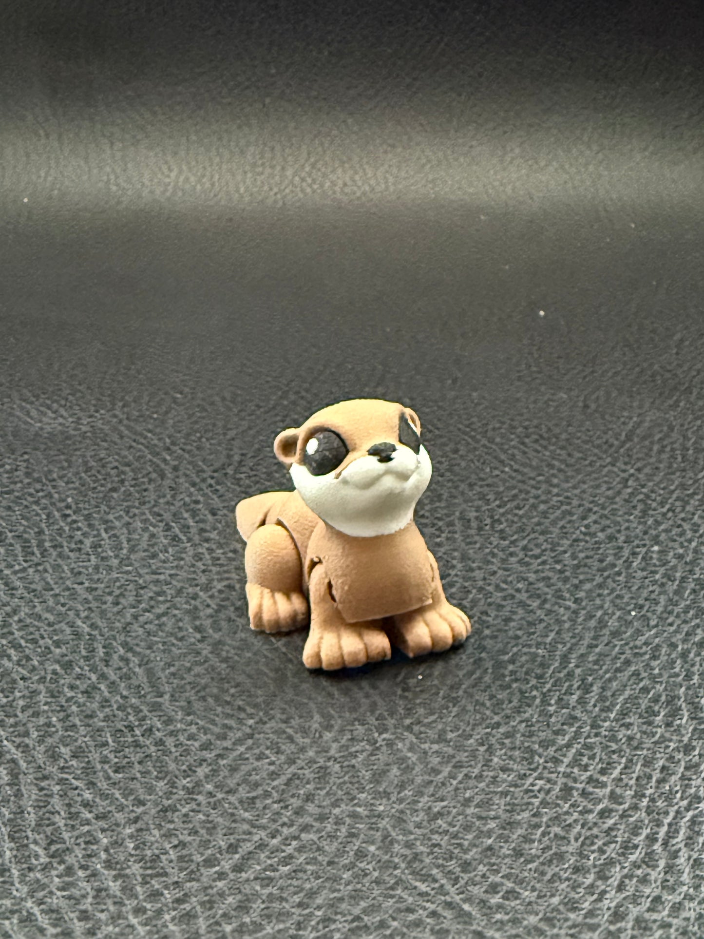 Otter hatchling