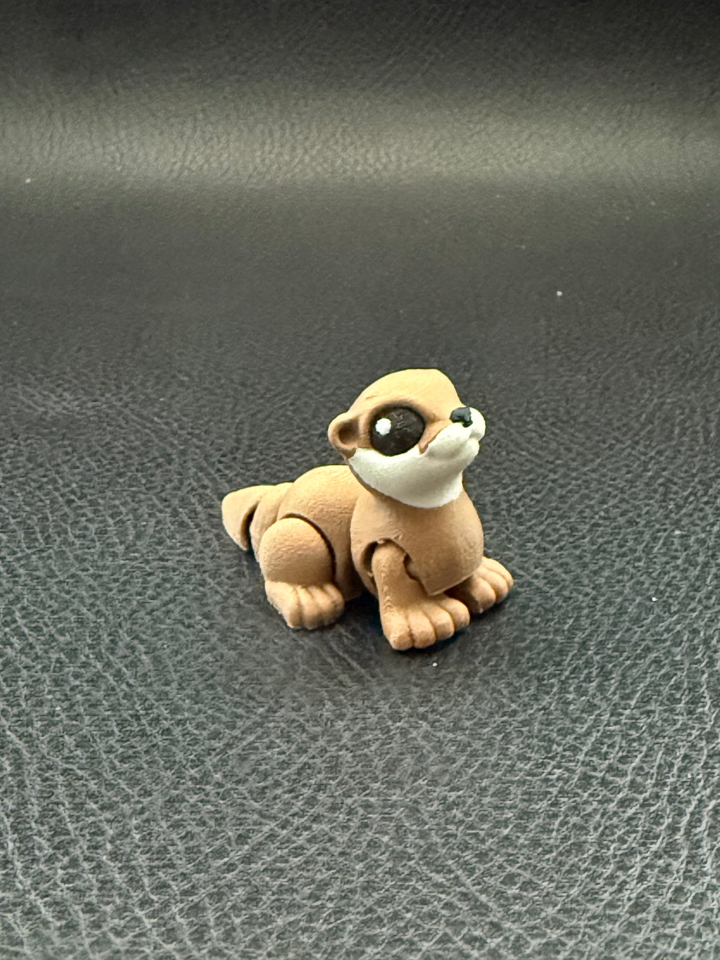 Otter hatchling