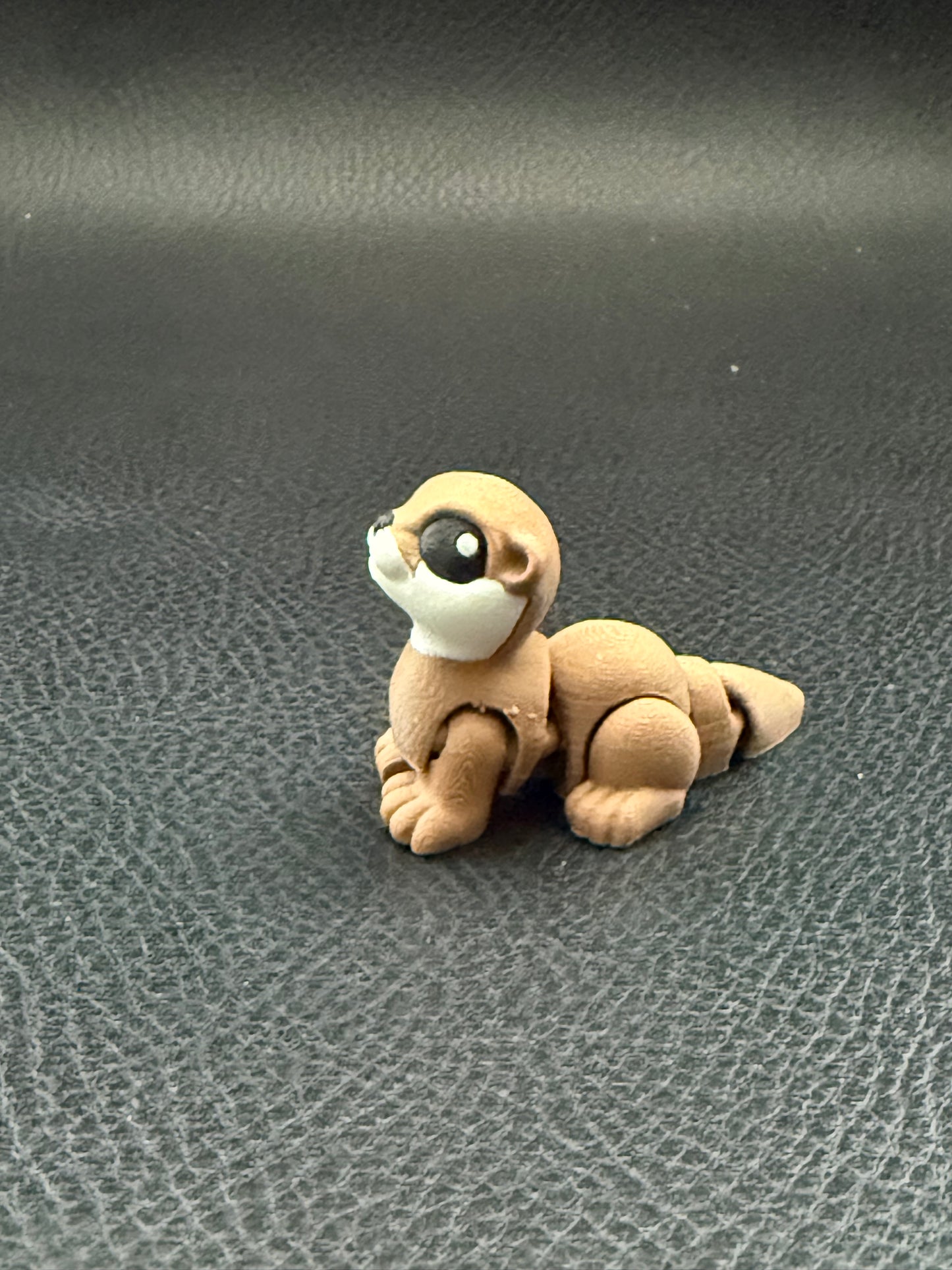 Otter hatchling