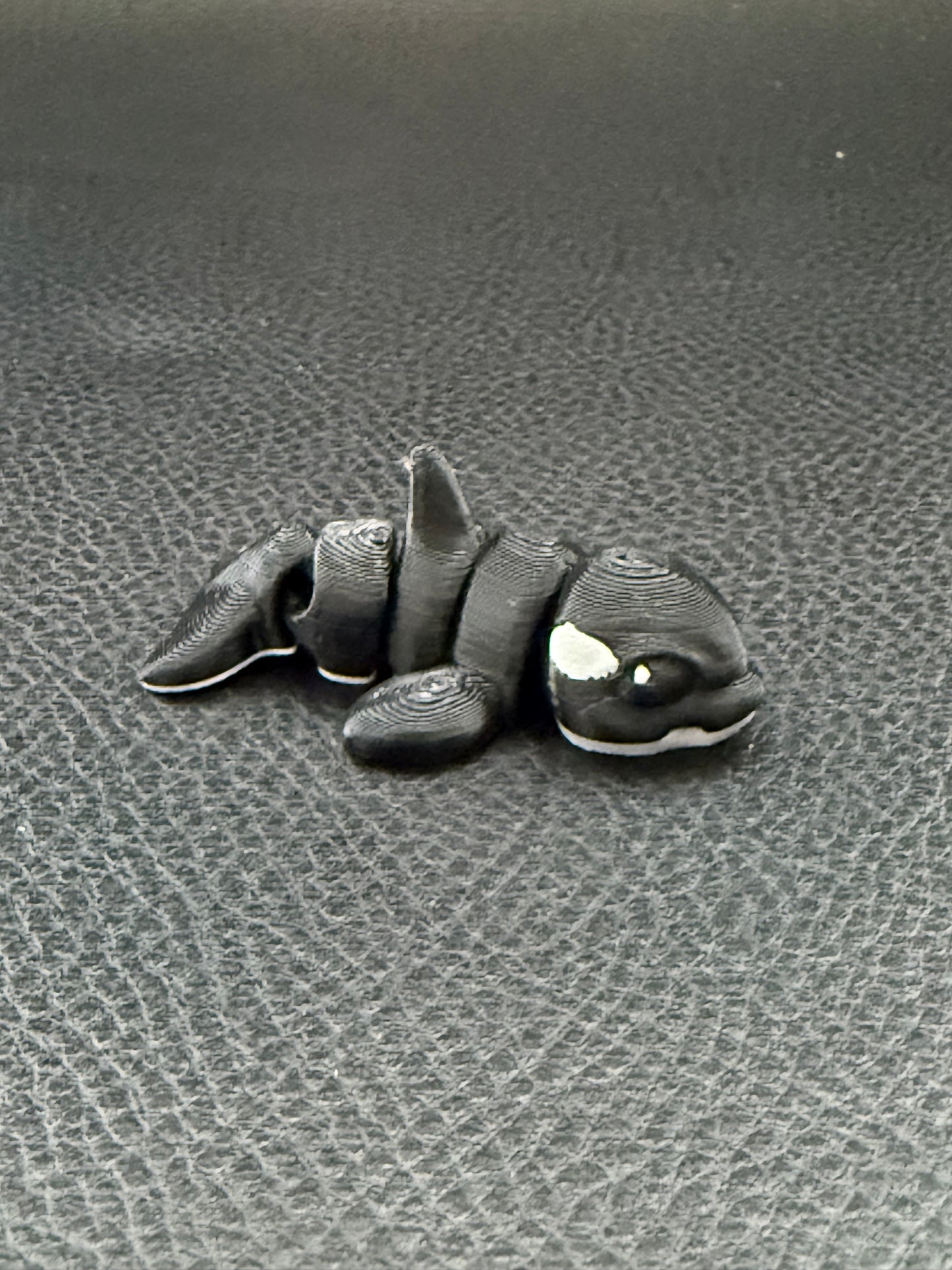 Orca hatchling