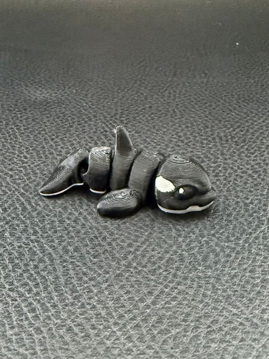 Orca hatchling
