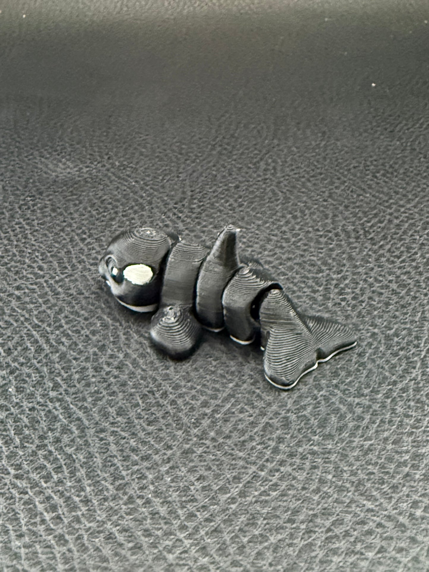 Orca hatchling