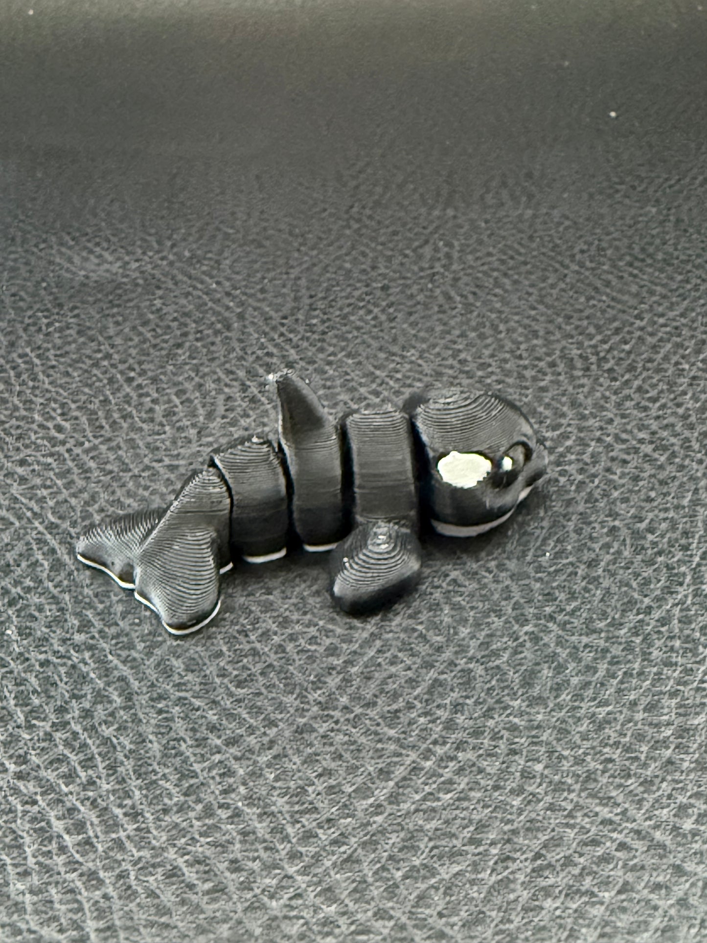 Orca hatchling