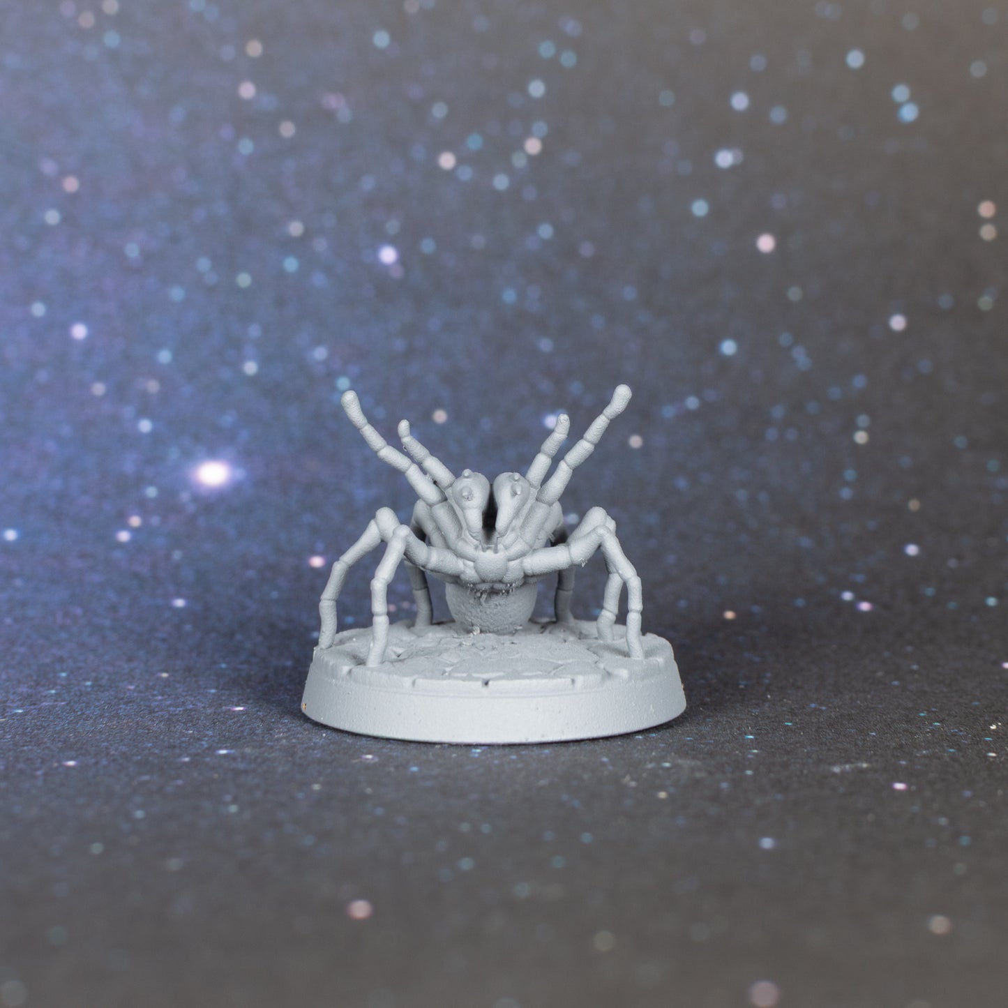 Huntsman Spider