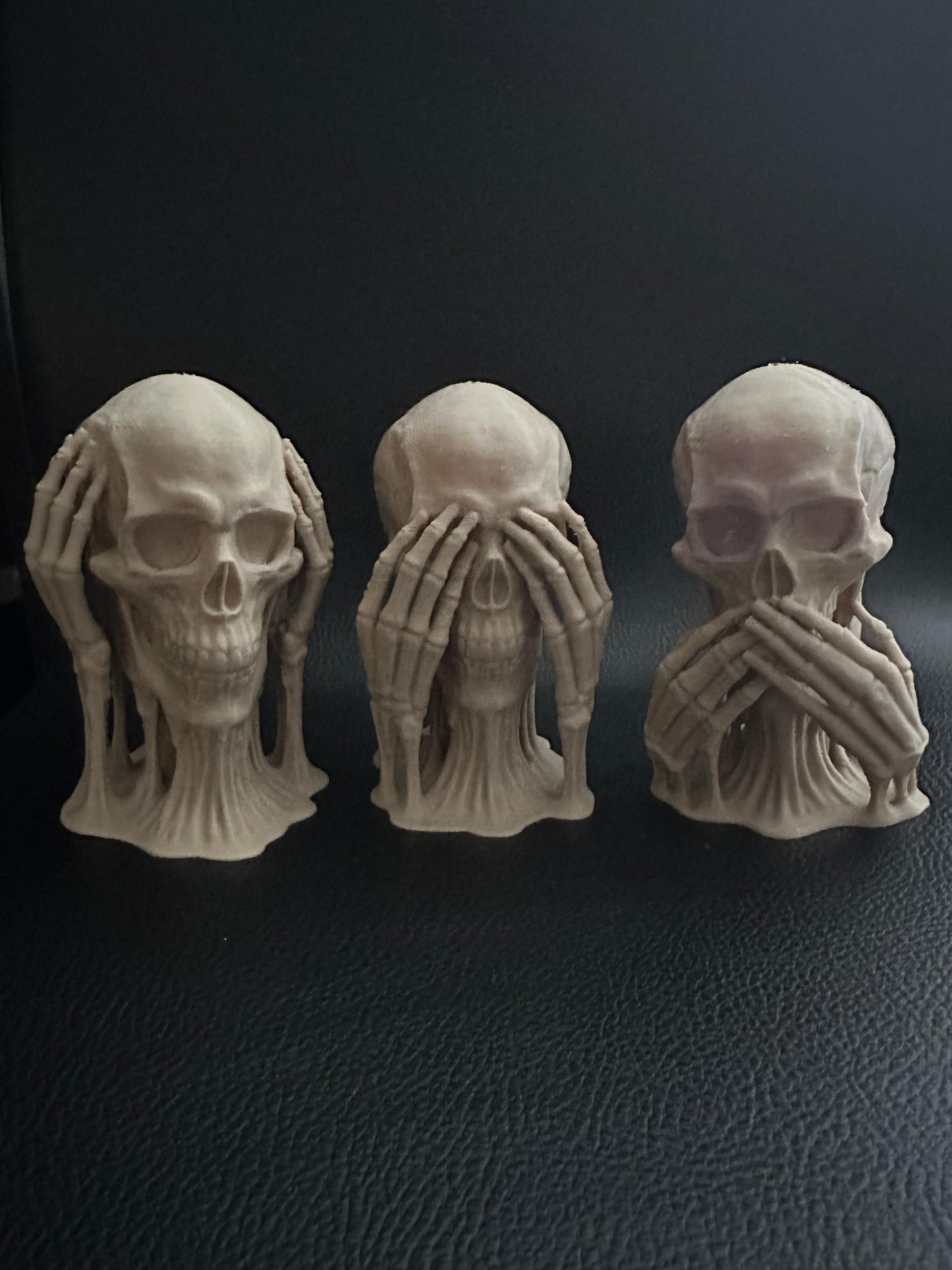 Skulls of Wisdom