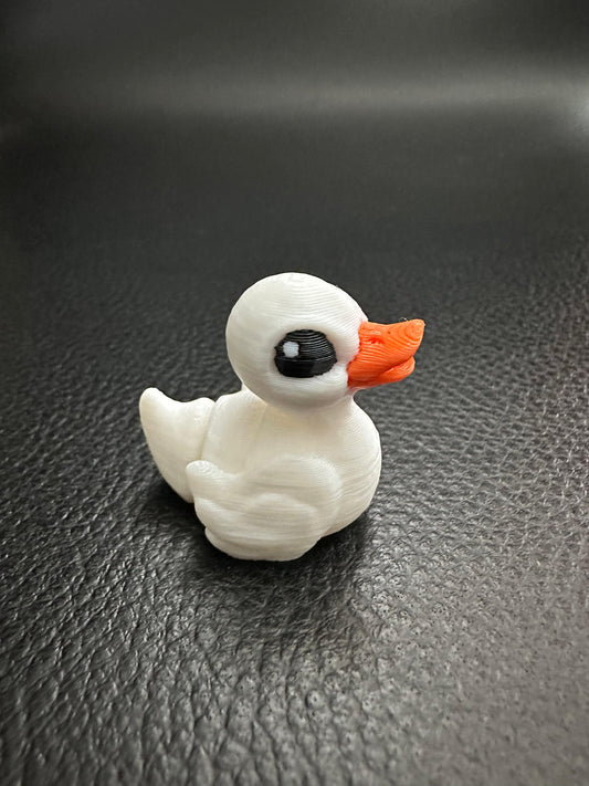 Duck hatchling